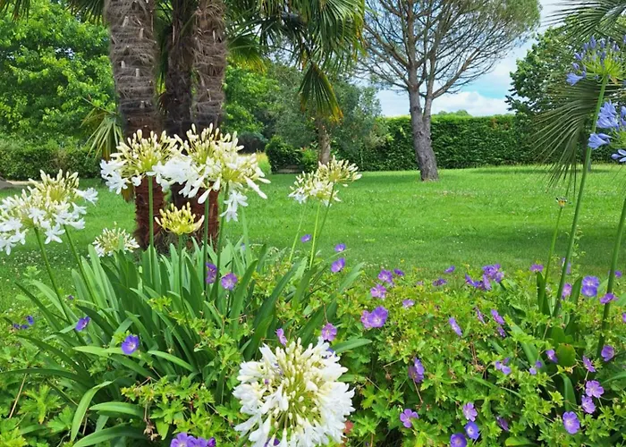 Le Spot Landais - Cote Foret Bed & Breakfast *