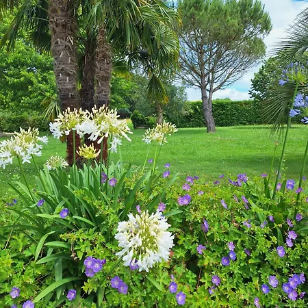 Le Spot Landais - Cote Foret Bed & Breakfast *
