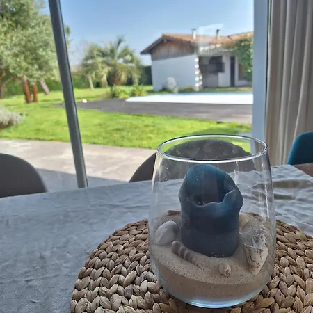 Le Spot Landais - Cote Foret Bed & Breakfast